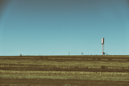 The Birds by Grégory Herpe, Photography for Sale on Singulart