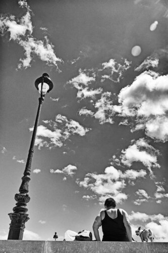 The dog's grimace in Paris von Grégory Herpe, Fotografie kaufen auf Singulart