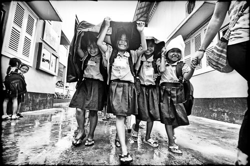 Rain & No Tears Grégory Herpe