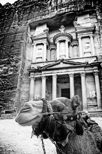 Petra's camel von Grégory Herpe, Fotografie kaufen auf Singulart
