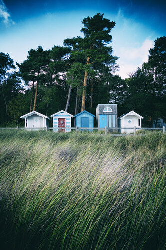 Grassy Field di Grégory Herpe, Fotografia in vendita su Singulart