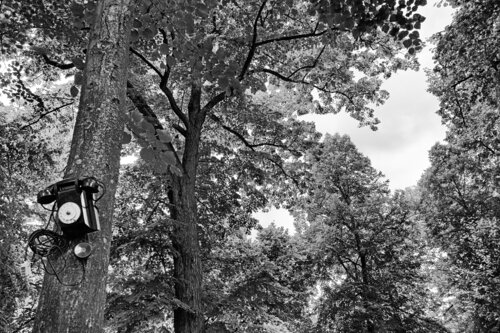 Last call before the end of the world di Grégory Herpe, Fotografia in vendita su Singulart