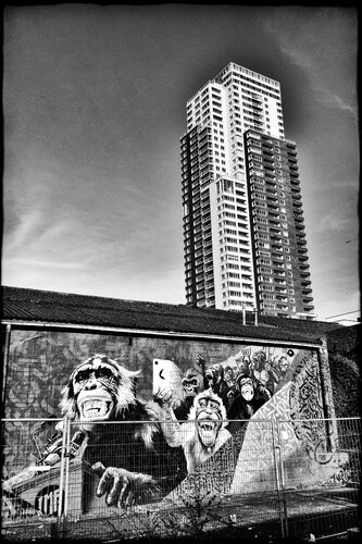 Planet of the Apes by Grégory Herpe, 사진 for Sale on Singulart