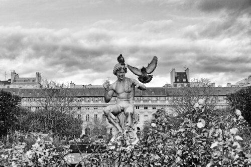 Richelieu's garden van Grégory Herpe, Fotografie te koop op Singulart