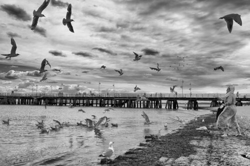 The nun who fed the birds on the Baltic beach Grégory Herpe