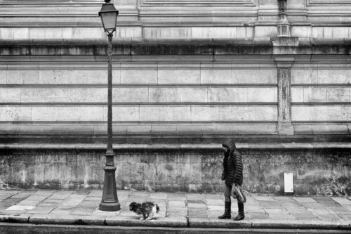 Poo Poo Pidou di Grégory Herpe, Fotografia in vendita su Singulart