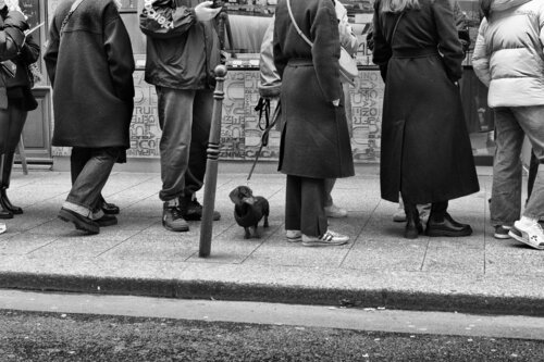 Queue up for something Grégory Herpe