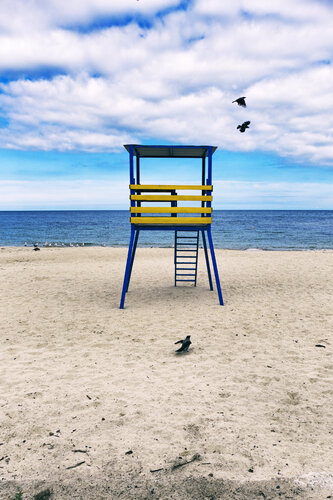 Slava Ukrainia di Grégory Herpe, Fotografia in vendita su Singulart