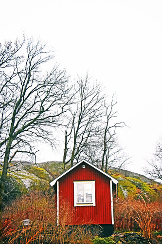 Blessed Loneliness van Grégory Herpe, Fotografie te koop op Singulart
