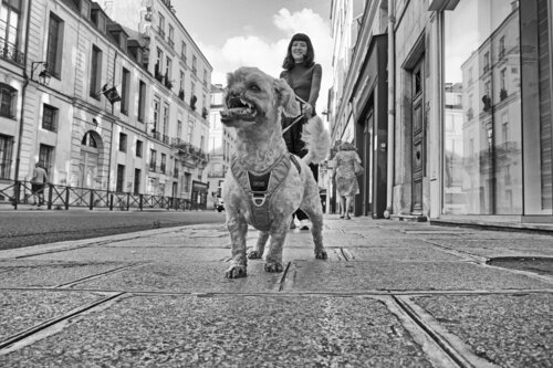 Beauty is within us Grégory Herpe