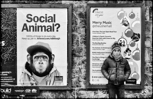 Social Animals de Grégory Herpe, Fotografía a la venta en Singulart