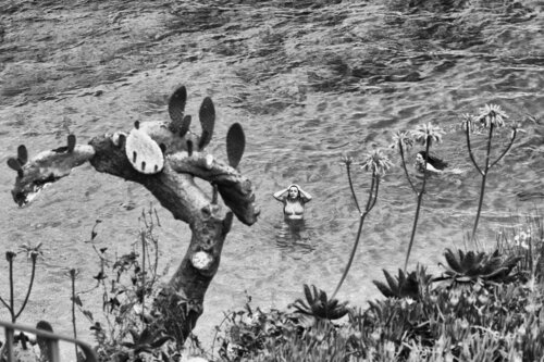 The Bathers di Grégory Herpe, Fotografia in vendita su Singulart