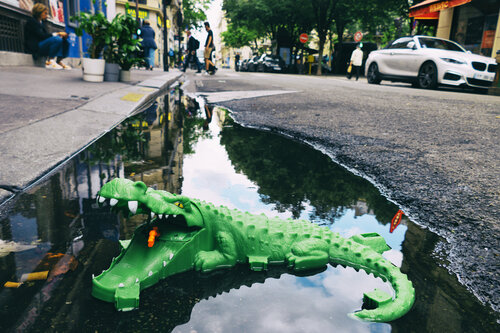 Paris is a jungle Grégory Herpe