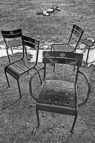 Always try to spread your wings van Grégory Herpe, Fotografie te koop op Singulart