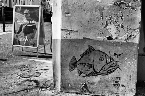 You're beautiful by Grégory Herpe, 사진 for Sale on Singulart
