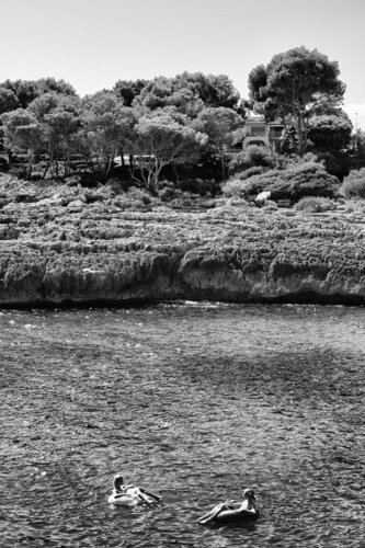 The Nereids di Grégory Herpe, Fotografia in vendita su Singulart