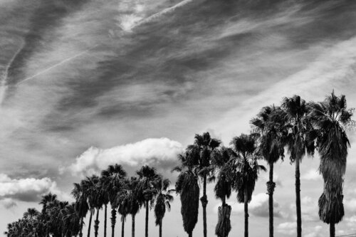 This is not Los Angeles von Grégory Herpe, Fotografie kaufen auf Singulart