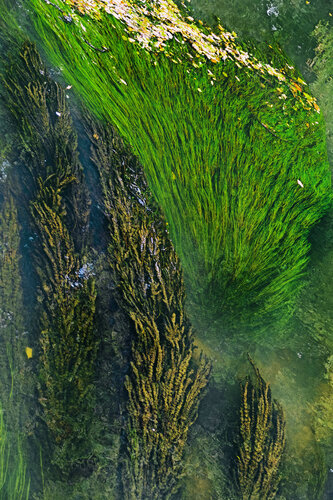 the river’s tresses di Grégory Herpe, Fotografia in vendita su Singulart
