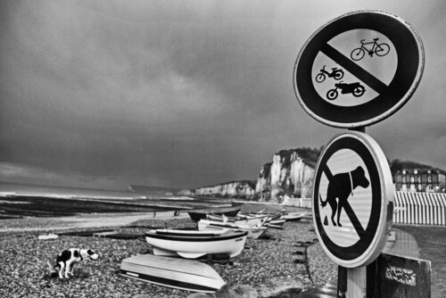 Poetic moment by the sea by Grégory Herpe, 사진 for Sale on Singulart
