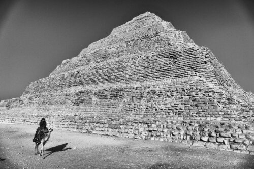 How many humps does a dromedary have? von Grégory Herpe, Fotografie kaufen auf Singulart