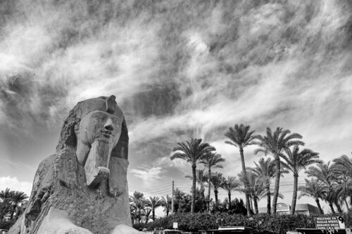 King of Memphis von Grégory Herpe, Fotografie kaufen auf Singulart