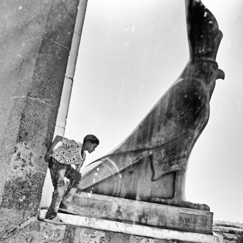Son of Horus di Grégory Herpe, Fotografia in vendita su Singulart