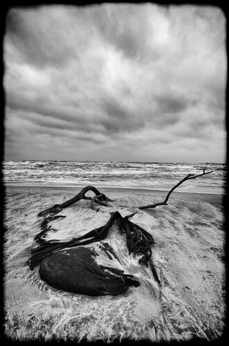 The end of storm van Grégory Herpe, Fotografie te koop op Singulart