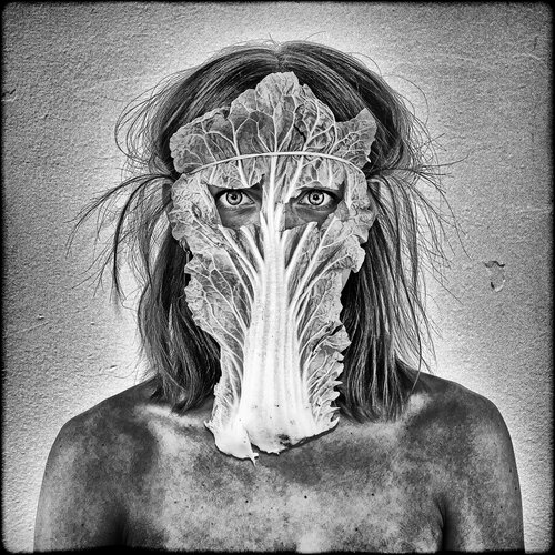 Let's eat Vegetables di Grégory Herpe, Fotografia in vendita su Singulart