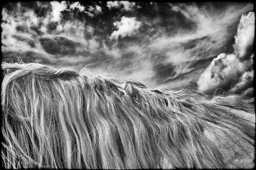 Riding the wind di Grégory Herpe, Fotografia in vendita su Singulart