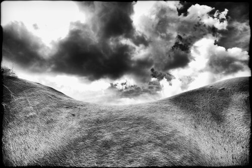 Riding the dunes von Grégory Herpe, Fotografie kaufen auf Singulart