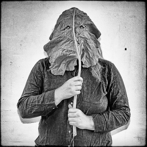 Rhubarb Alien di Grégory Herpe, Fotografia in vendita su Singulart