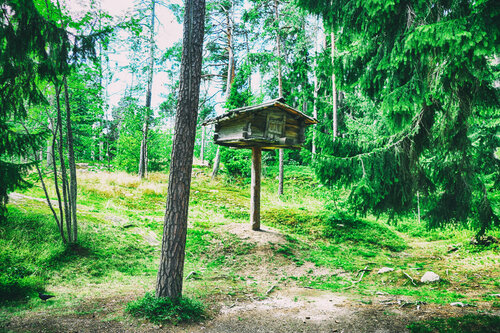 The Little House on the Tree Grégory Herpe