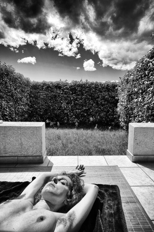 Hidden behind the Hedge Grégory Herpe