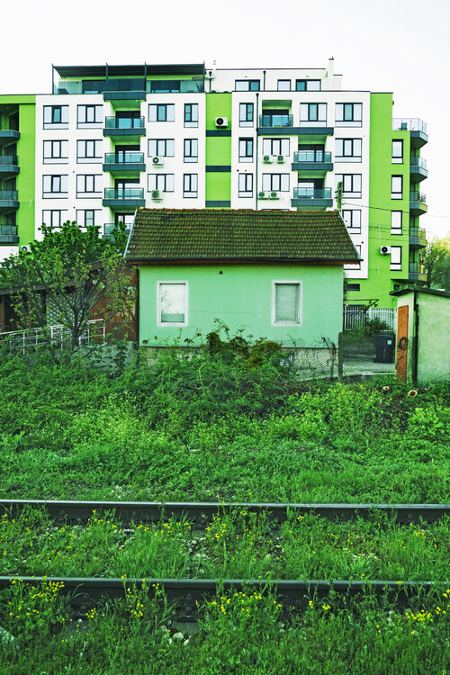 Antique green/Modern green Grégory Herpe