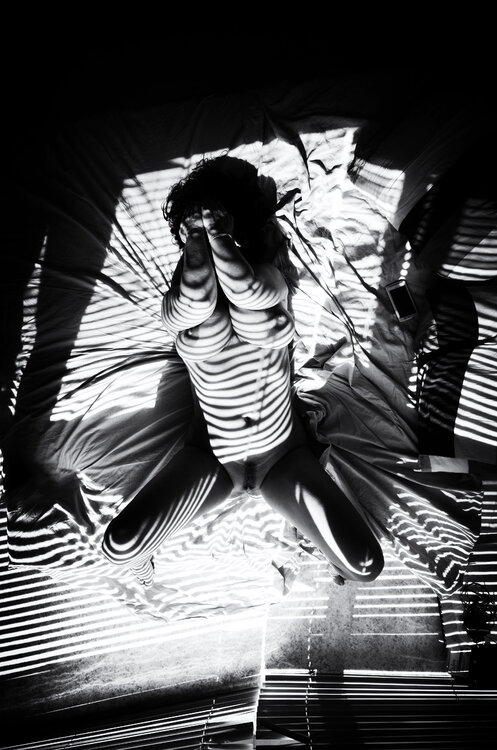 The Zebra Girl Grégory Herpe