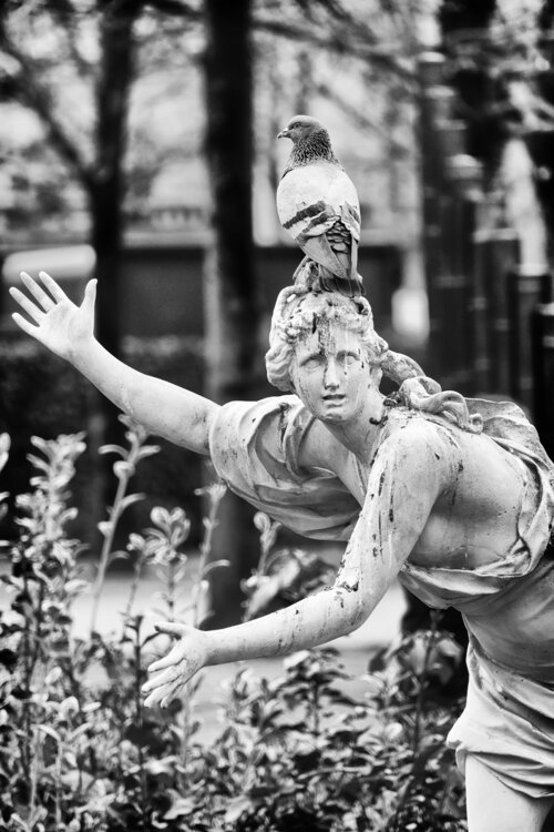 Harassment Grégory Herpe