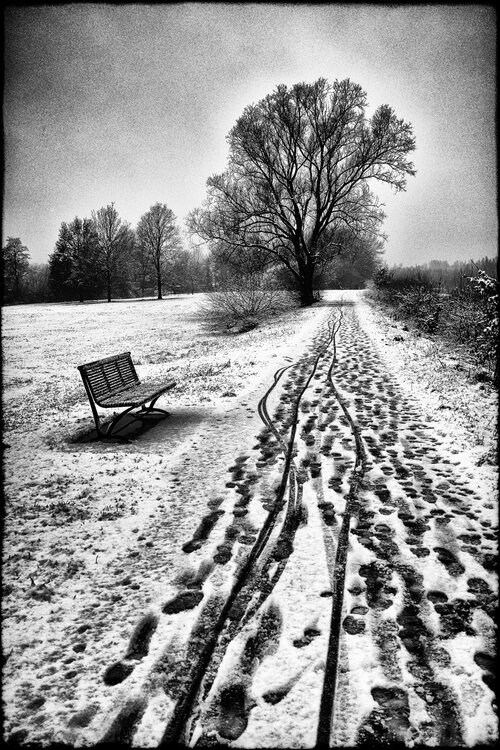 Only our footsteps remain Grégory Herpe