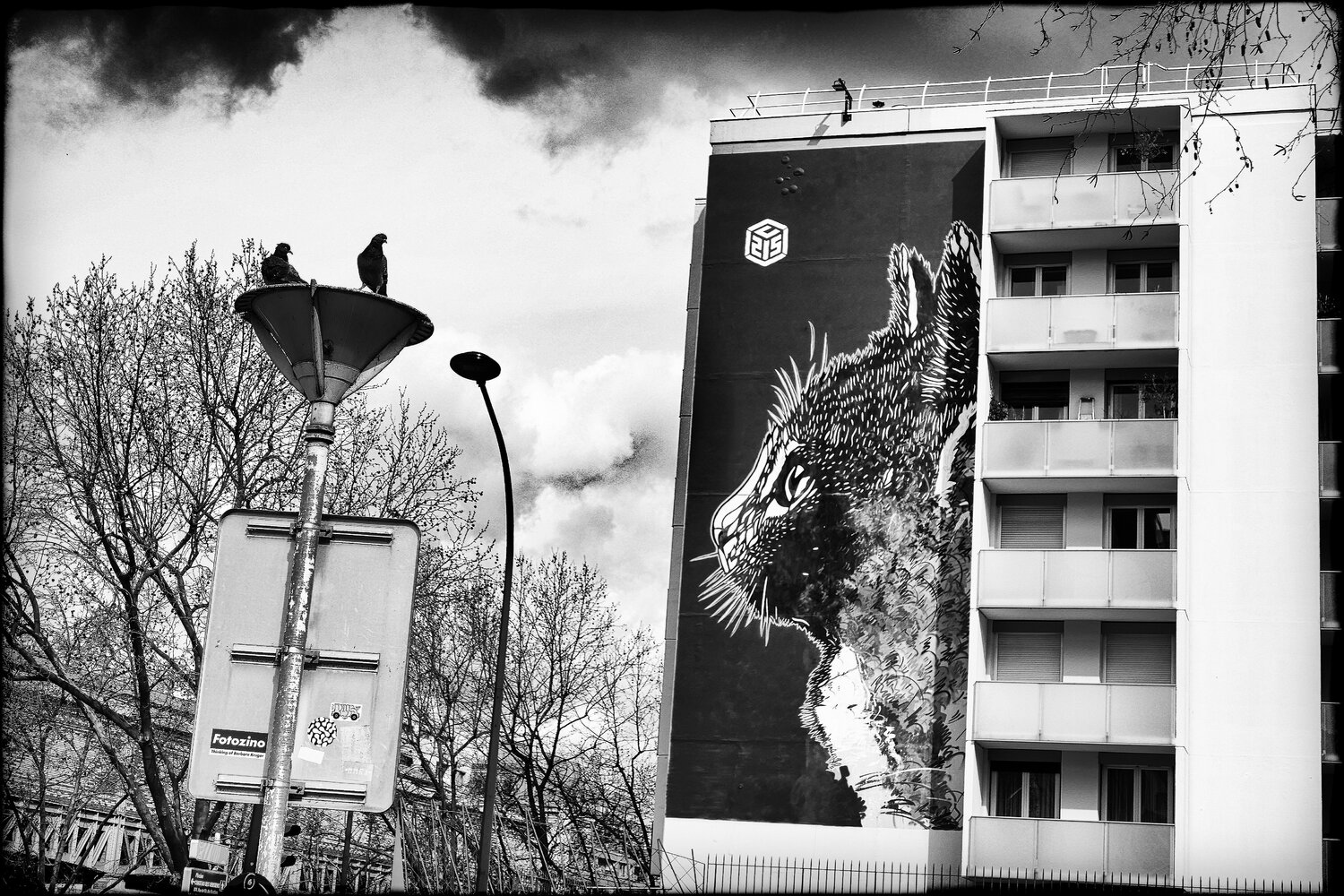 Did I saw a Pussy Cat? Grégory Herpe Fotografie zu verkaufen