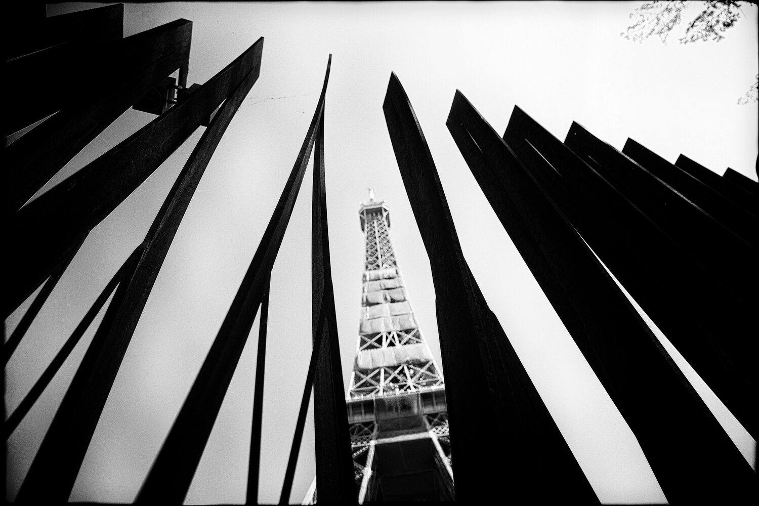 The Steel Widow Grégory Herpe