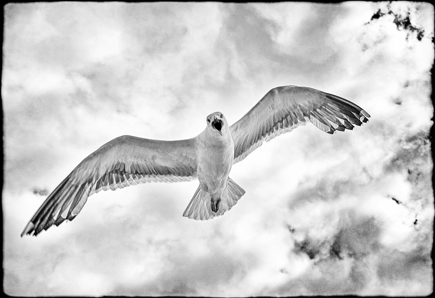 In the Sound of Mull Grégory Herpe Fotografie zu verkaufen