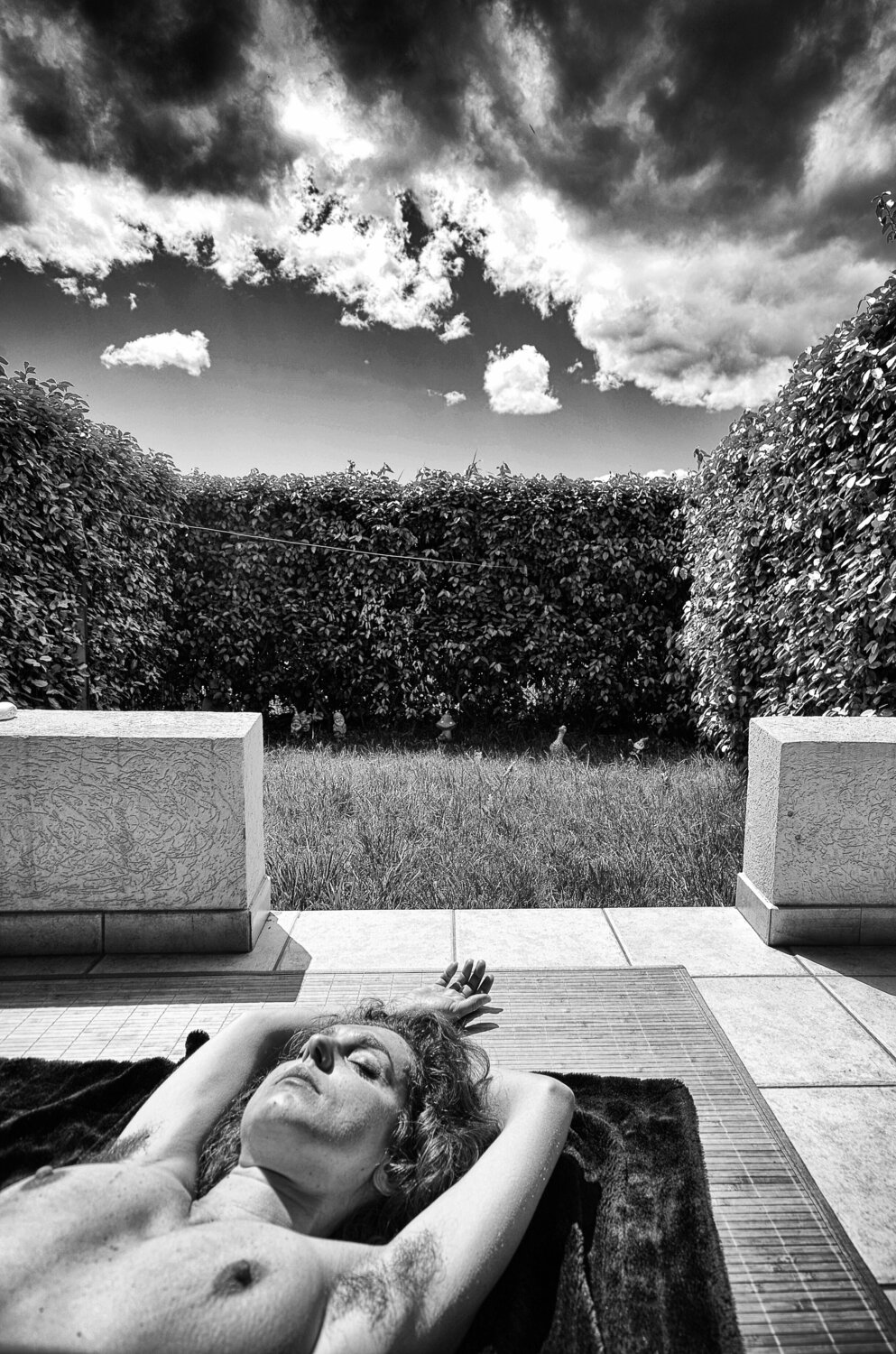 Hidden behind the Hedge Grégory Herpe