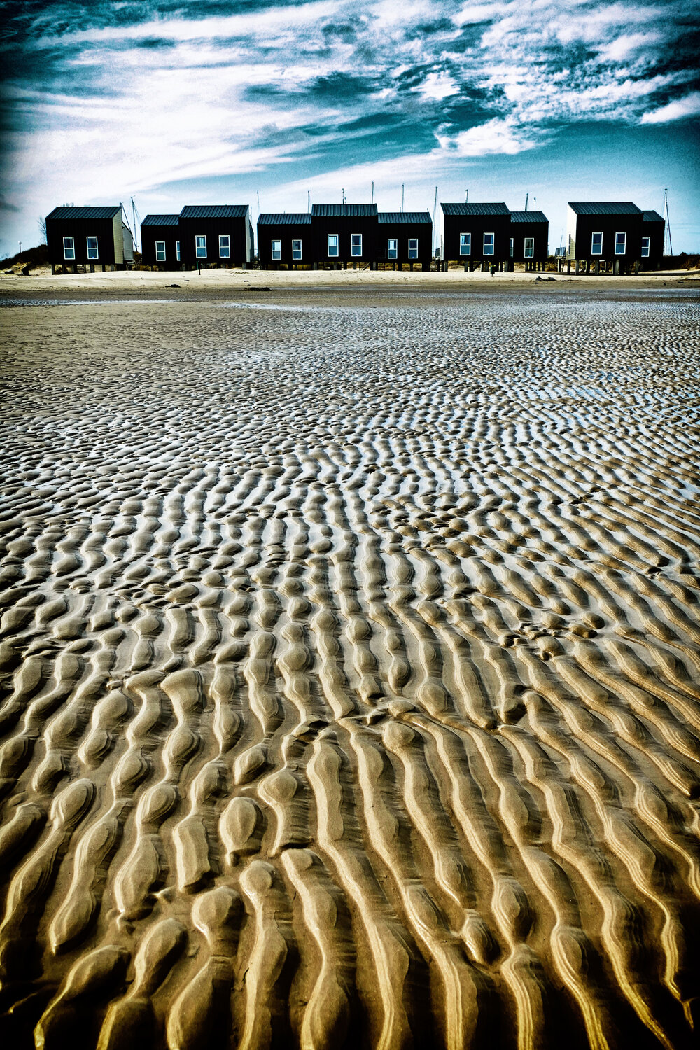 Snakes in the sand Grégory Herpe