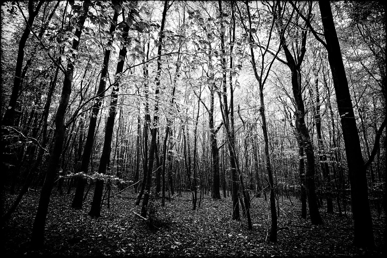 Dark Lights Grégory Herpe