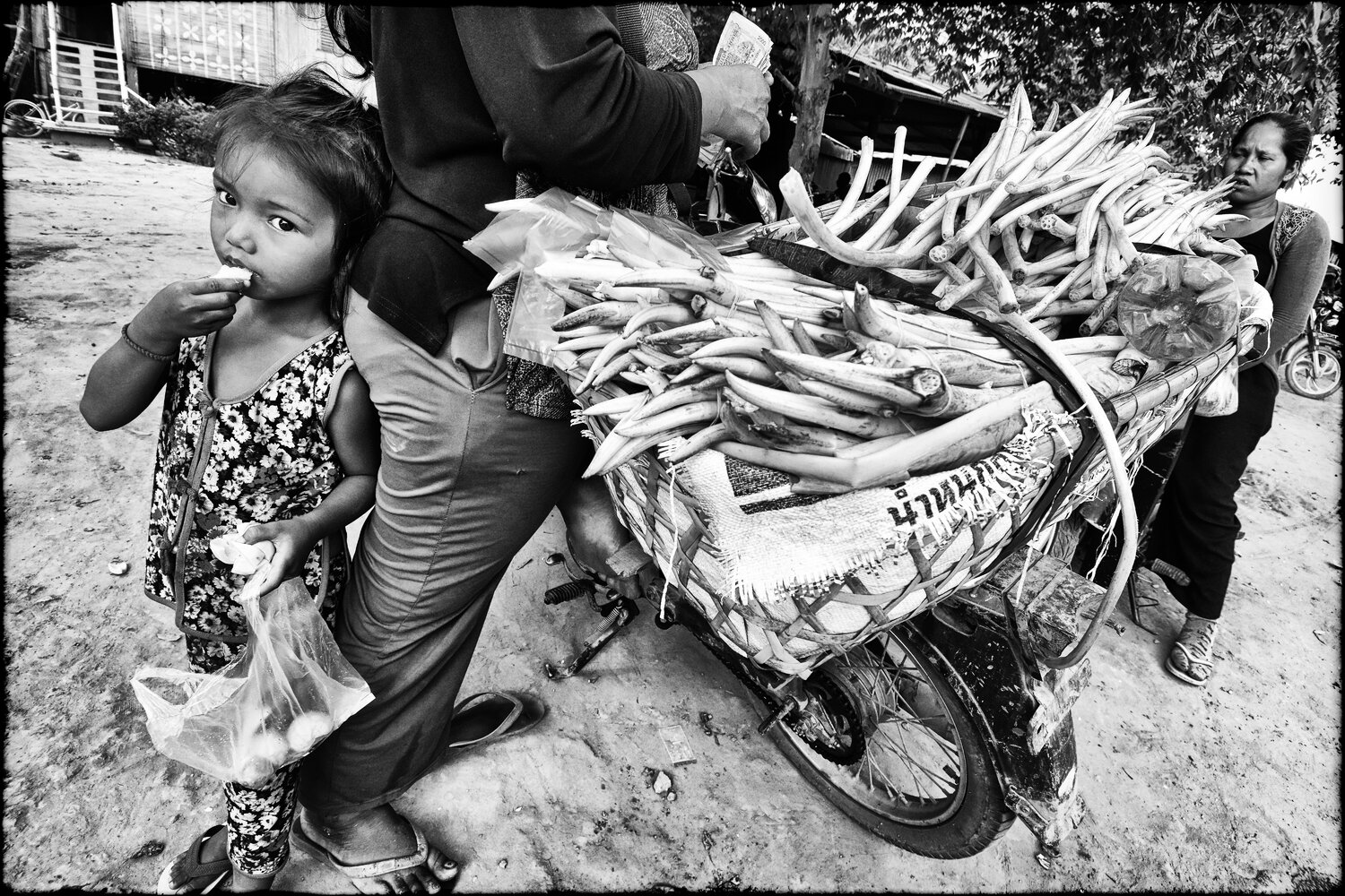 Lotus Saleswoman Grégory Herpe Fotografie zu verkaufen