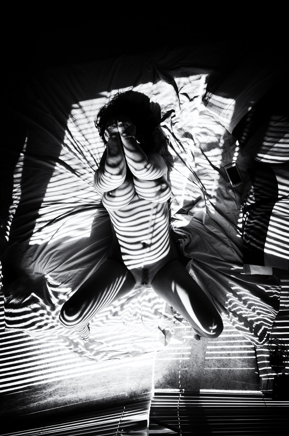 The Zebra Girl Grégory Herpe