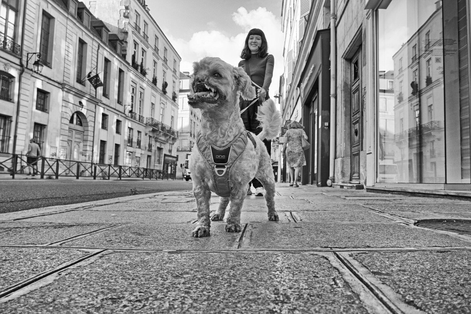 Beauty is within us Grégory Herpe