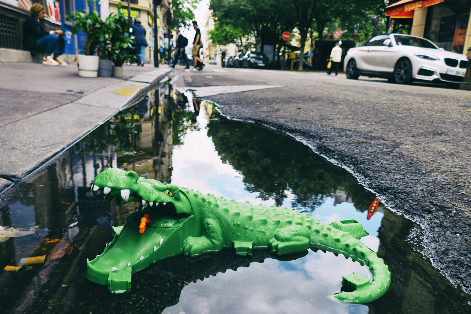 Paris is a jungle Grégory Herpe