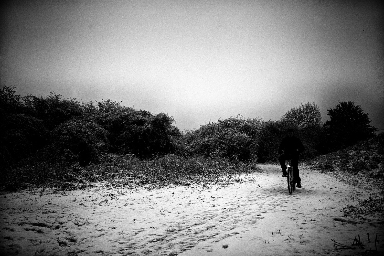 Rider of the snow Grégory Herpe Fotografie zu verkaufen