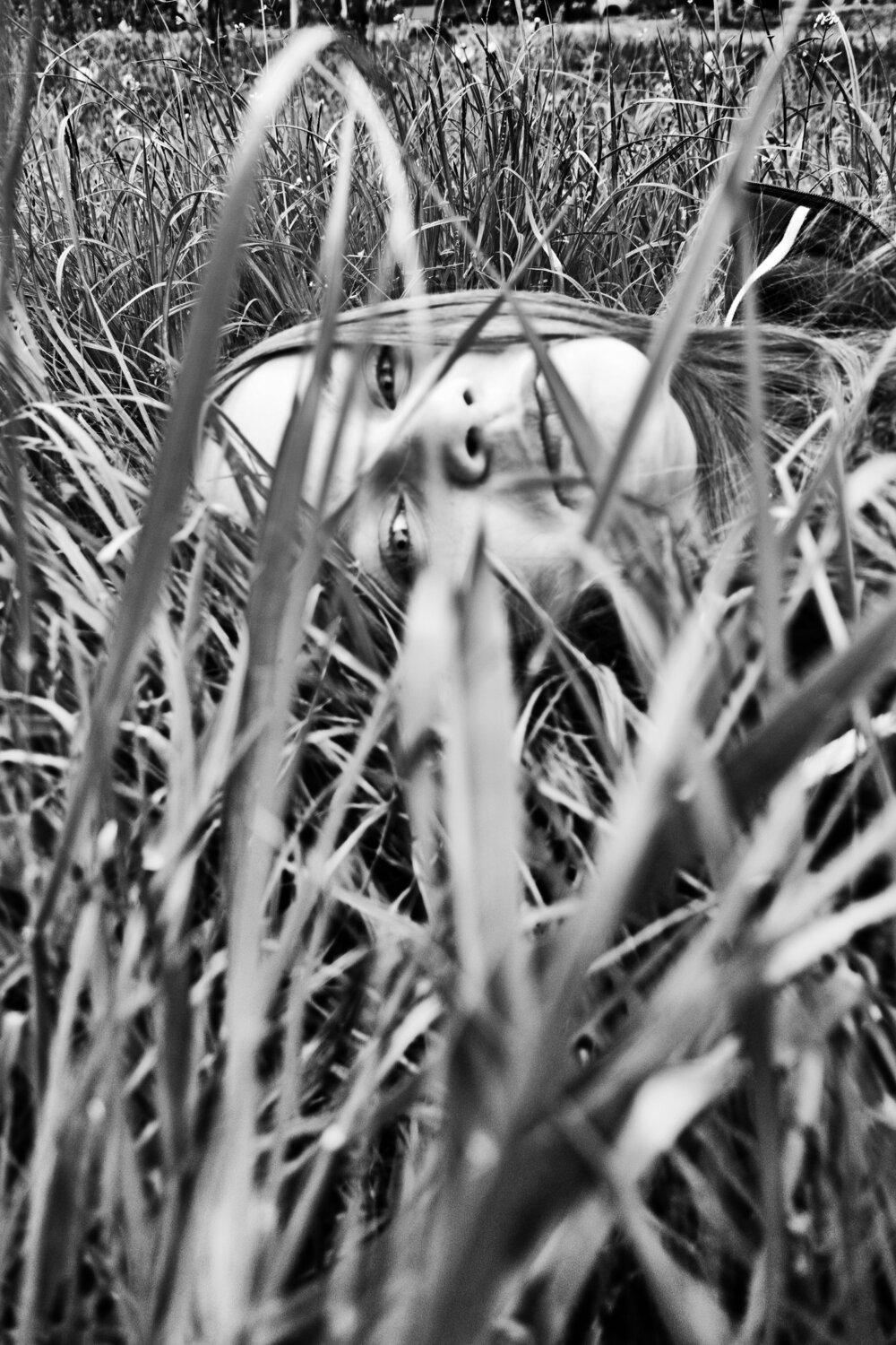 Dreaming in the Grass Grégory Herpe Fotografie te koop