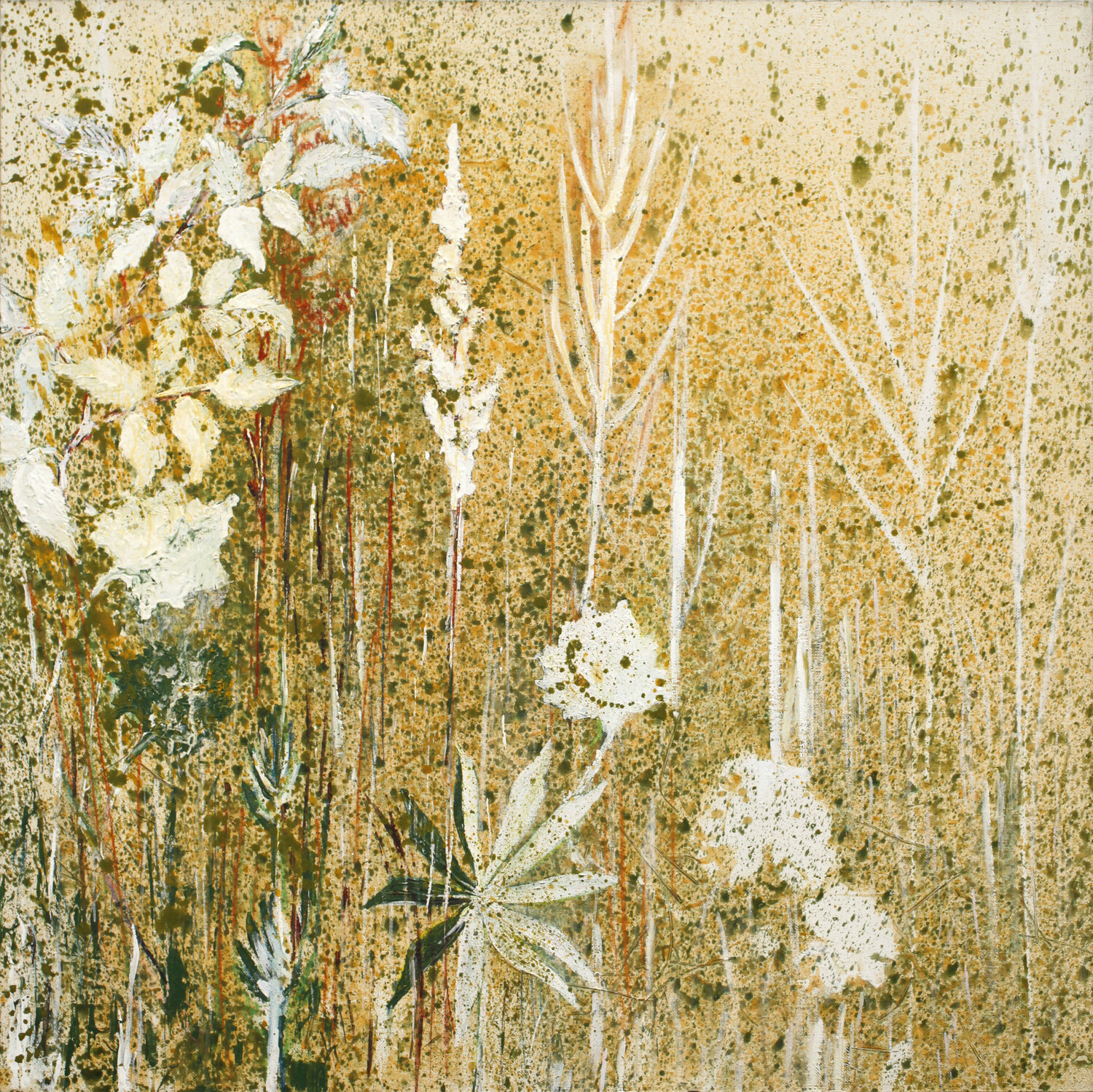 Grass-1 (Country house) Daria Bagrintseva